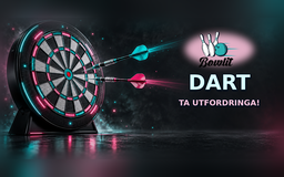 Dart-bilde